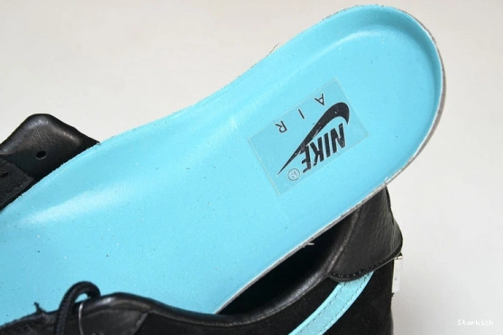 Tiffany Low 1  Force 1837 & Nike Air DZ1382-001 Co. 0208